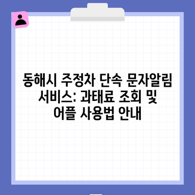 동해시 주정차 단속 문자알림 서비스: 과태료 조회 및 어플 사용법 안내