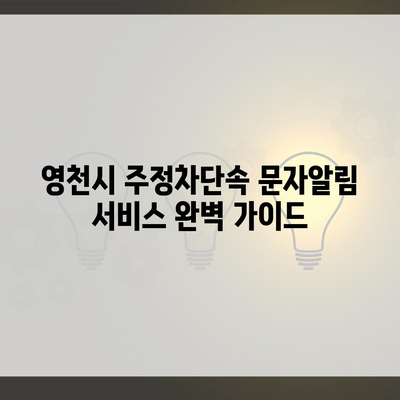 영천시 주정차단속 문자알림 서비스 완벽 가이드