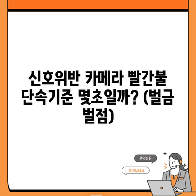 신호위반 카메라 빨간불 단속기준 몇초일까? (벌금 벌점)