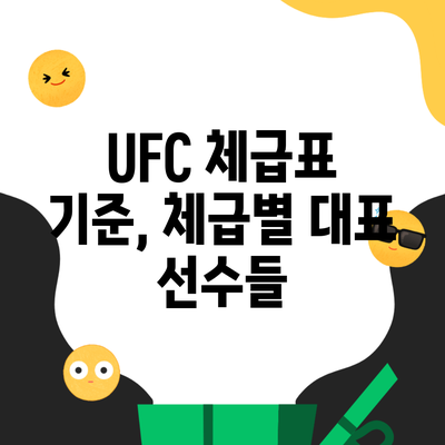 UFC 체급표 기준, 체급별 대표 선수들
