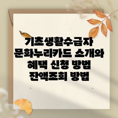 기초생활수급자 문화누리카드 소개와 혜택 신청 방법 잔액조회 방법