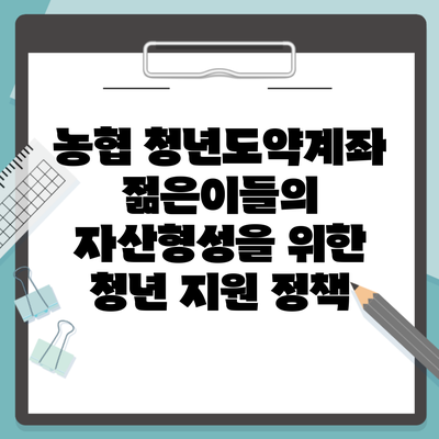 농협 청년도약계좌 젊은이들의 자산형성을 위한 청년 지원 정책