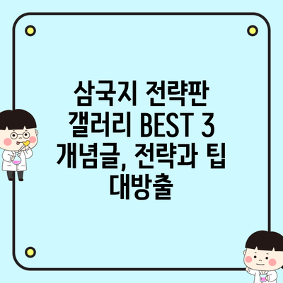 삼국지 전략판 갤러리 BEST 3 개념글, 전략과 팁 대방출