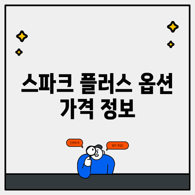 스파크 플러스 옵션 가격 정보