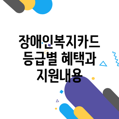 장애인복지카드 등급별 혜택과 지원내용