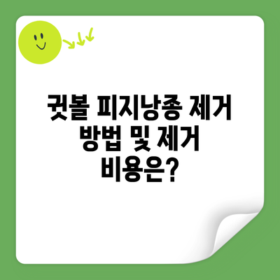 귓볼 피지낭종 제거 방법 및 제거 비용은?