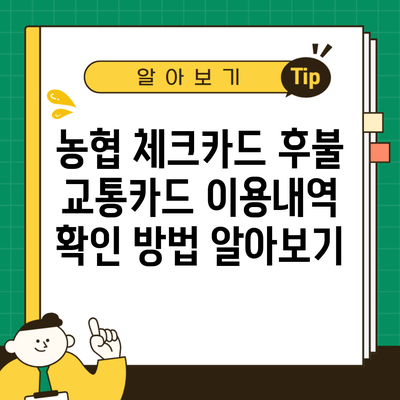 농협 체크카드 후불 교통카드 이용내역 확인 방법 알아보기