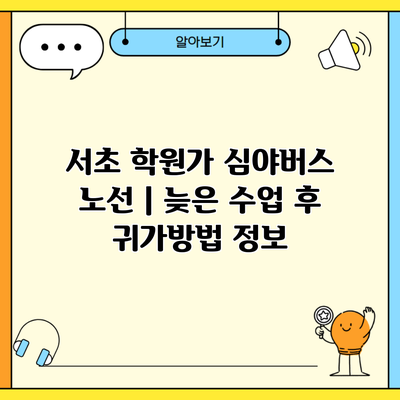 서초 학원가 심야버스 노선 | 늦은 수업 후 귀가방법 정보