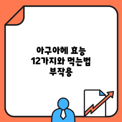 아구아헤 효능 12가지와 먹는법 부작용