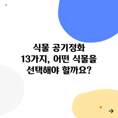 식물 공기정화 13가지, 어떤 식물을 선택해야 할까요?