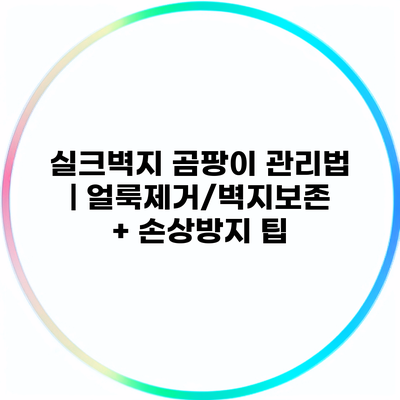 실크벽지 곰팡이 관리법 | 얼룩제거/벽지보존 + 손상방지 팁