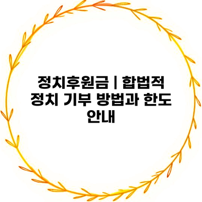 정치후원금 | 합법적 정치 기부 방법과 한도 안내
