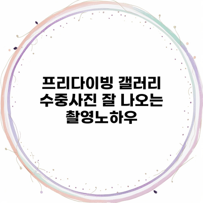 프리다이빙 갤러리 수중사진 잘 나오는 촬영노하우