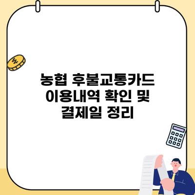 농협 후불교통카드 이용내역 확인 및 결제일 정리