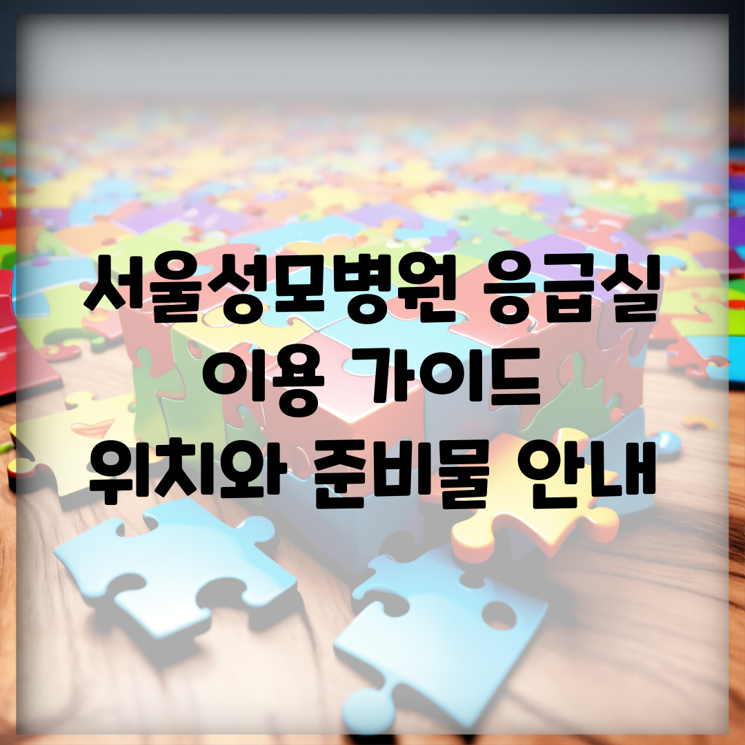 서울성모병원 응급실 이용 가이드 | 위치와 준비물 안내