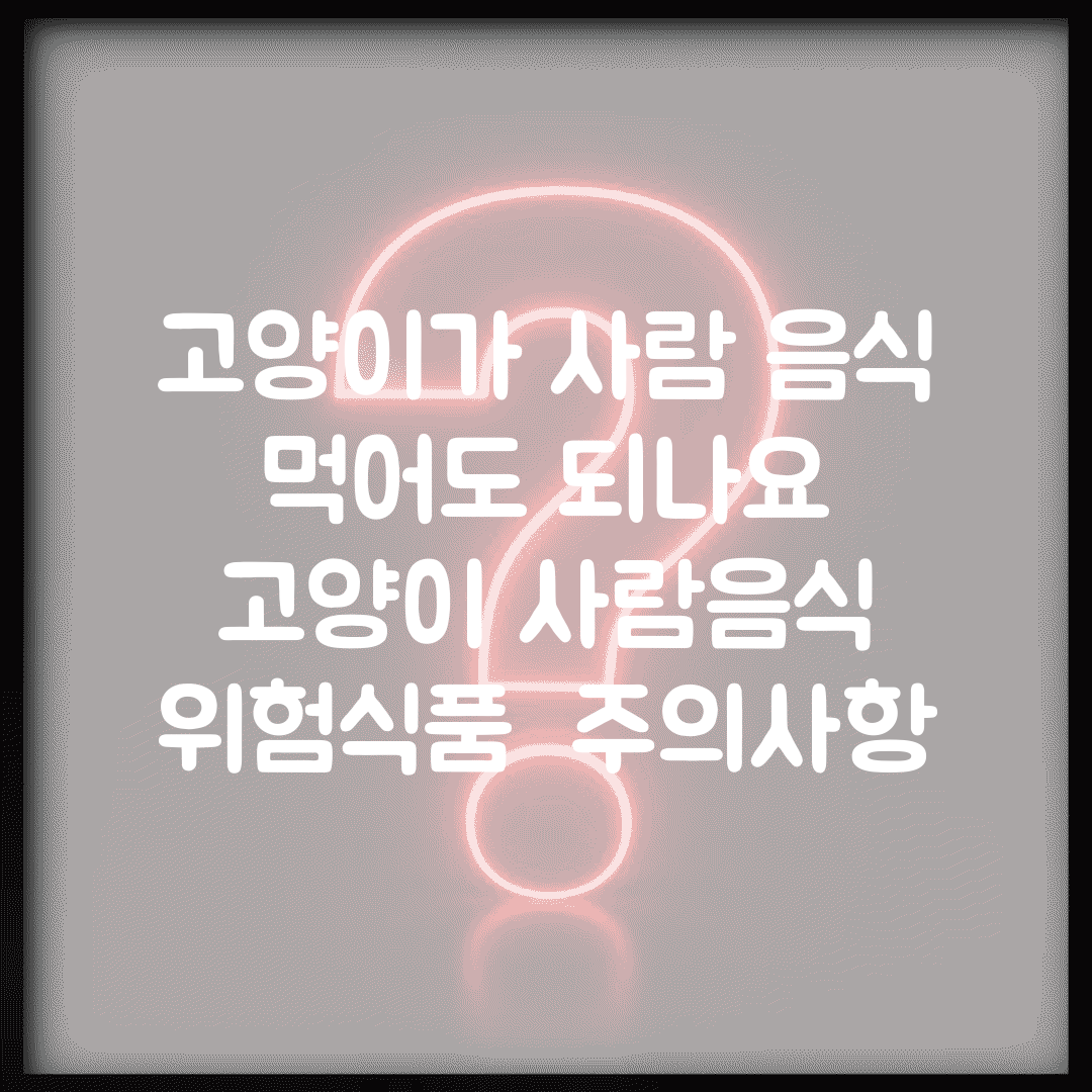 고양이가 사람 음식 먹어도 되나요 | 고양이 사람음식 | 위험식품 | 주의사항