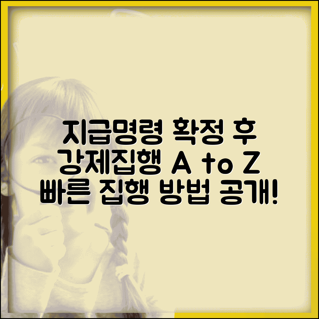 지급명령 확정후 강제집행절차 | 지급명령 판결 후 집행 방법