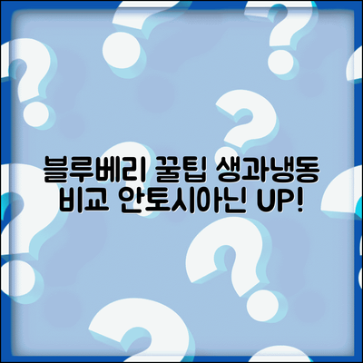 블루베리 먹는법 안토시아닌 보존 | 냉동과 생과일 영양소 차이와 최적 섭취 시간