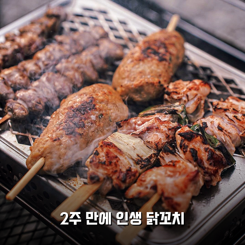 [야키토리 토리야] 닭꼬치 염통 파닭 2주 써보니